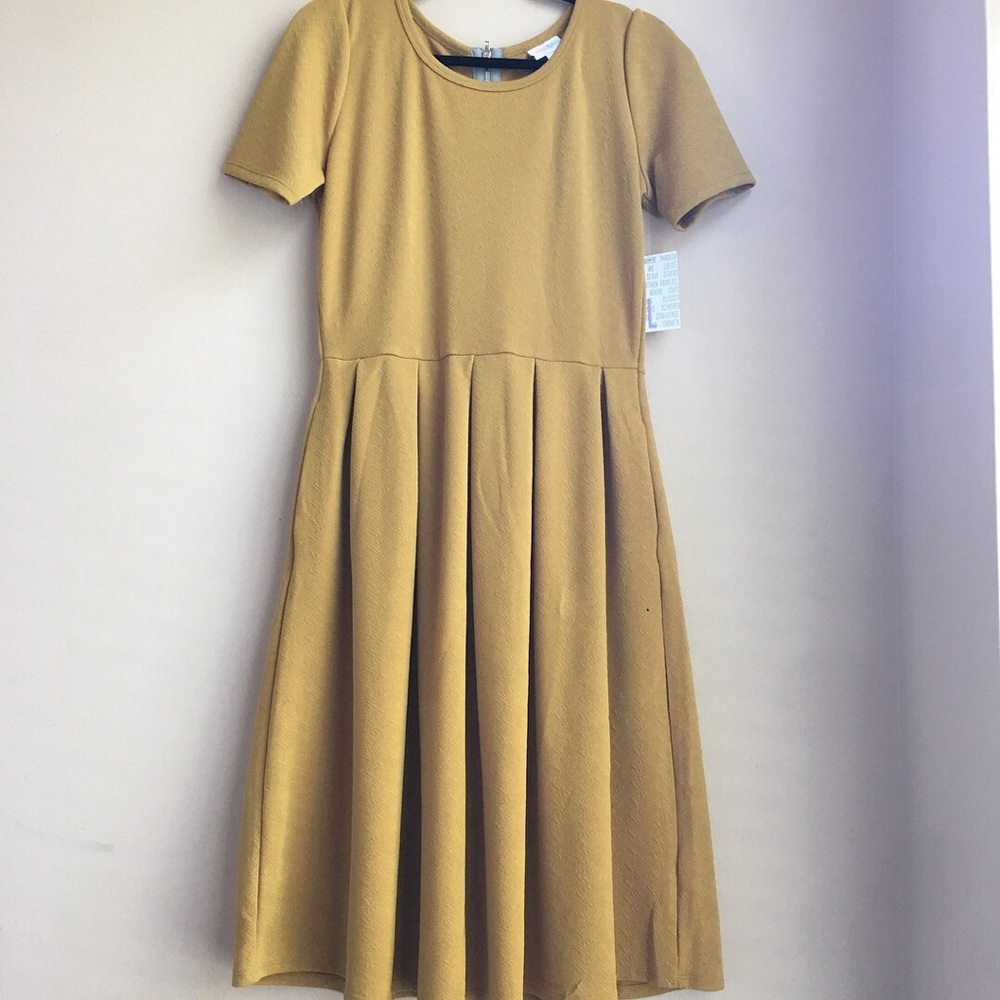 NWT LulaRoe Amelia Dress
